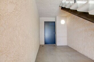 2625 Pirineos Way in Carlsbad, CA - Building Photo - Building Photo