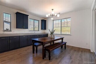 5208 Silver Hare Ct in Castle Rock, CO - Building Photo - Building Photo