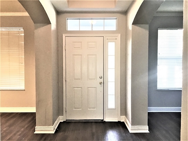 3508 Tern Hollow Dr in Orlando, FL - Building Photo - Building Photo
