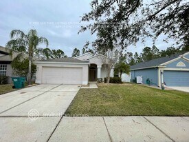 25313 Flying Ebony Ln in Zephyrhills, FL - Building Photo