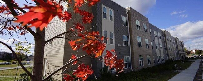 1811 Losantiville Ave in Cincinnati, OH - Building Photo - Building Photo