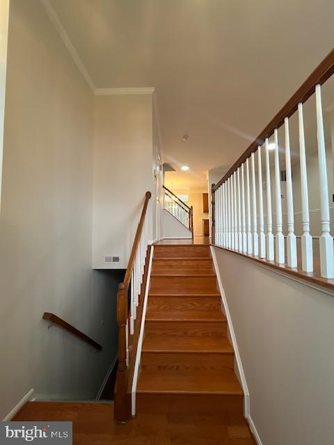 property at 3430 Brahms Dr