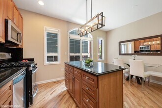 321 E 17th St in Chicago, IL - Building Photo - Building Photo