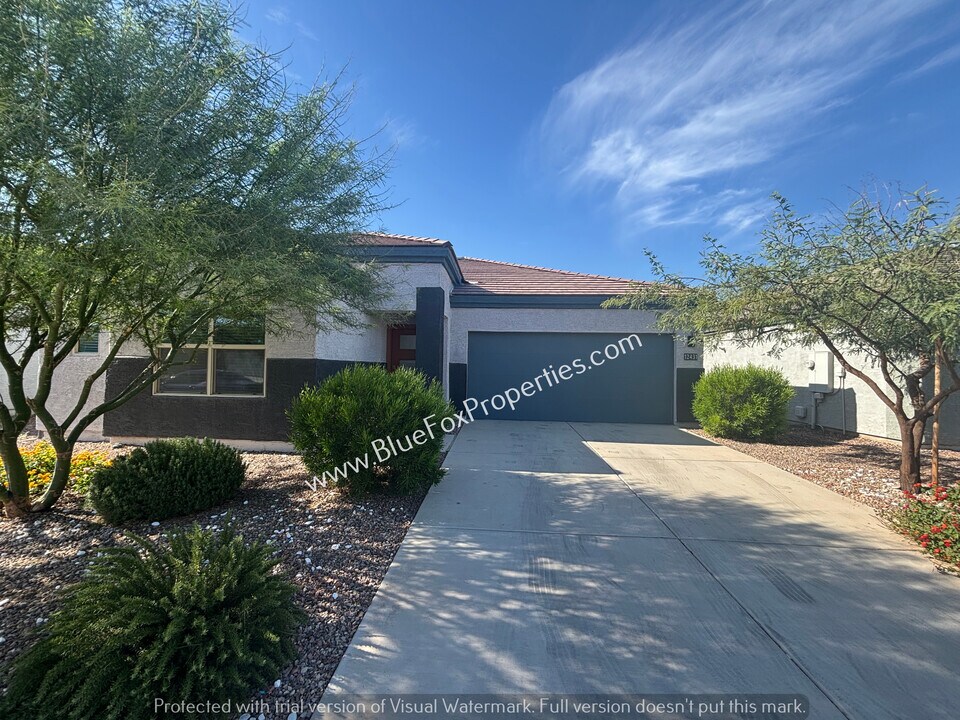 12431 W Mieko Ln in Marana, AZ - Building Photo