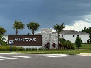 17229 Amber Aspen Wy in Land O Lakes, FL - Building Photo - Building Photo