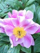 78 Holmes Rd in Newburgh, NY - Building Photo