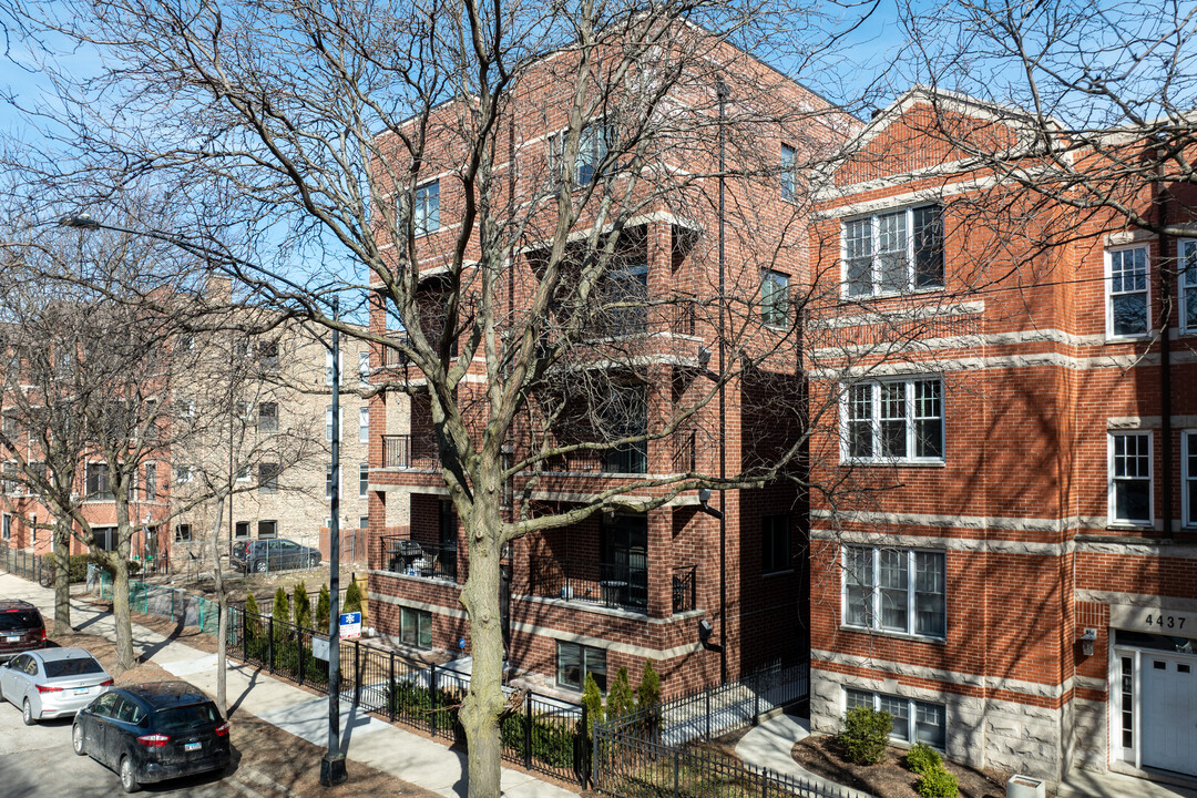 4441 N Ashland Ave in Chicago, IL - Building Photo