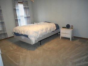 311 Sheffield Ct-Unit -1 in Roselle, IL - Building Photo - Building Photo