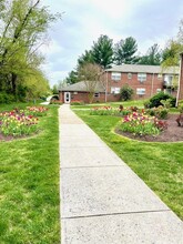 Pine Hill Apartments in Elkton, MD - Building Photo - Building Photo