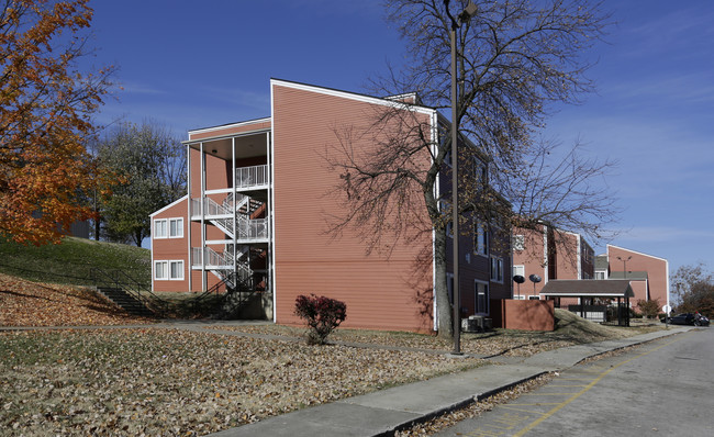 The Vista at Summit Hill in Knoxville, TN - Building Photo - Building Photo