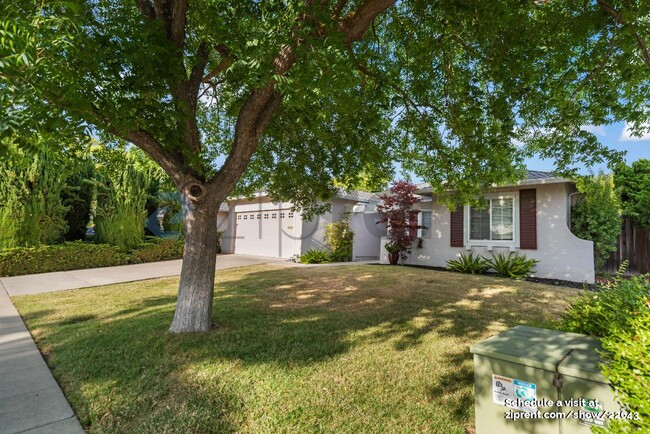 438 Juniper Ct in Sunnyvale, CA - Building Photo - Building Photo