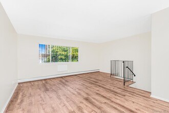 162 Ellery St in Brooklyn, NY - Building Photo - Building Photo