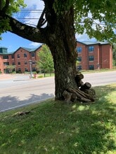 718 Poplar Grove Rd in Boone, NC - Building Photo - Building Photo