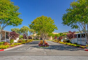 Mountain Shadows Mobile Home Park in San Jose, CA - Building Photo