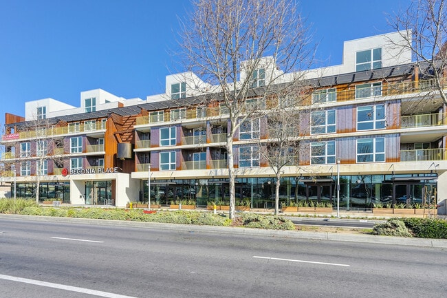 Begonia Place