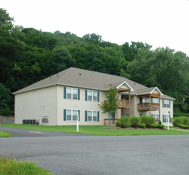 217 W Main St in Catskill, NY - Building Photo - Building Photo