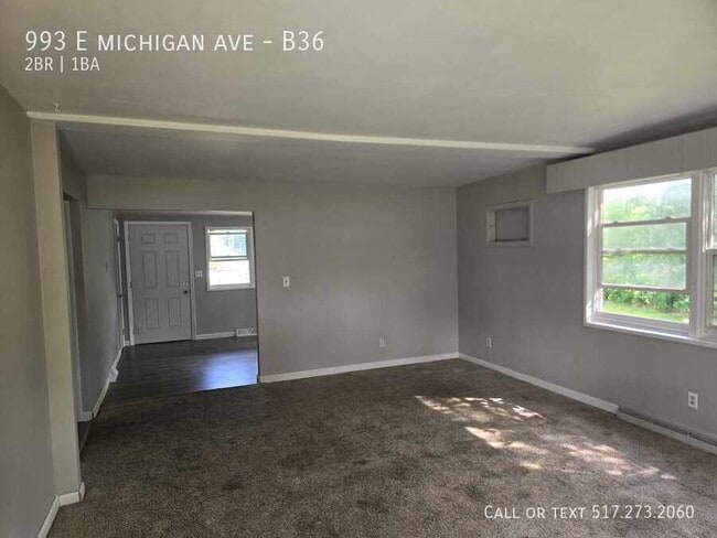 property at 993 E Michigan Ave