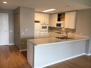 1511 S Prairie Ave, Unit 1 in Chicago, IL - Building Photo - Building Photo