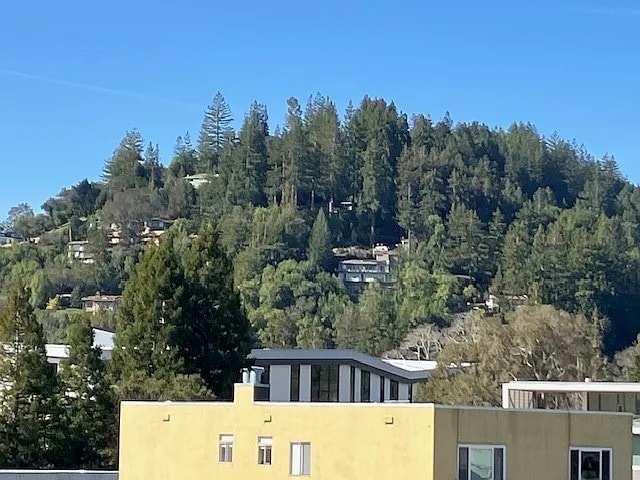 2 Terrace Ave in Kentfield, CA - Building Photo - Building Photo