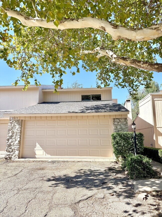12315 Cedar Springs Ln