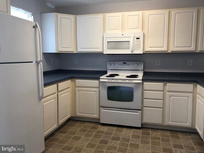 1205 Caitlins Way in Millsboro, DE - Building Photo - Building Photo