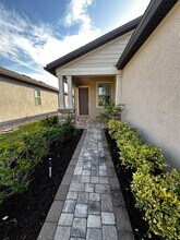 41 Forest Spring Dr in Nocatee, FL - Building Photo - Building Photo