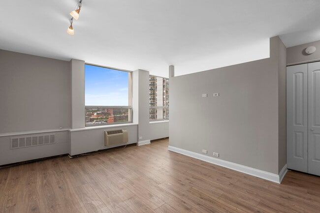 1355 N Sandburg Terrace in Chicago, IL - Building Photo - Building Photo
