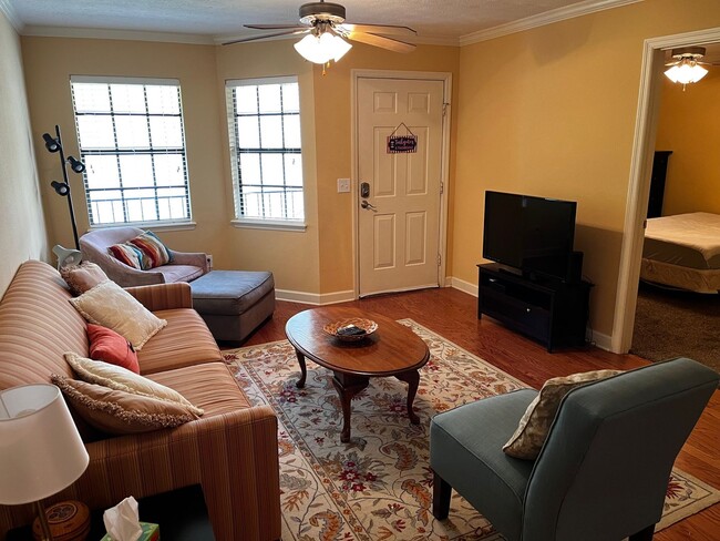315 E Magnolia Ave in Auburn, AL - Building Photo - Building Photo