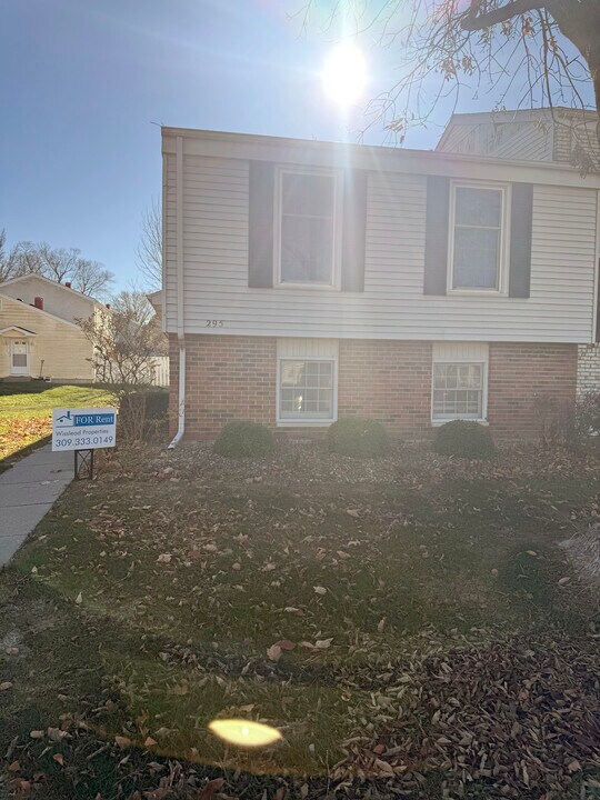 295 Jamestown Rd in Macomb, IL - Building Photo