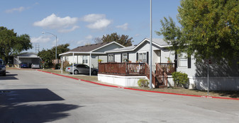 Dessau Fountain Estates Apartments