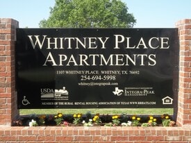 1107 Whitney Pl Dr in Whitney, TX - Building Photo