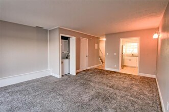 2537 Cedar Cypress Ct. in Tampa, FL - Building Photo - Building Photo