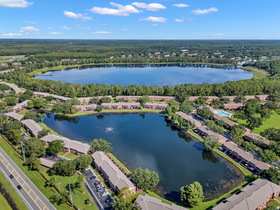 Lake Carlton Arms in Lutz, FL - Foto de edificio