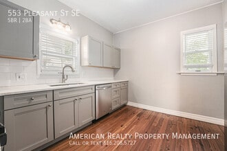 553 Pleasant St SE in Grand Rapids, MI - Building Photo - Building Photo