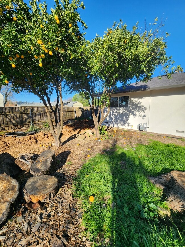 9500 Pershing Ave in Orangevale, CA - Building Photo - Building Photo