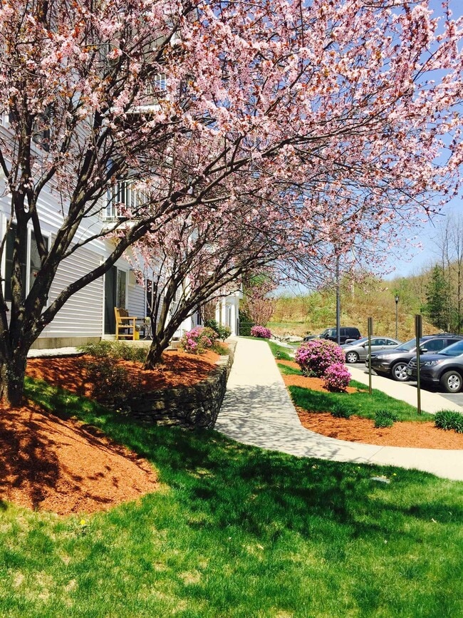 265 Edward J Roy Dr in Manchester, NH - Building Photo - Building Photo