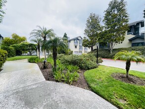 3101 Morning Way in San Diego, CA - Building Photo - Building Photo