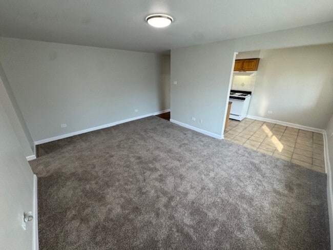 519 Madison Ave in Calumet City, IL - Building Photo - Building Photo