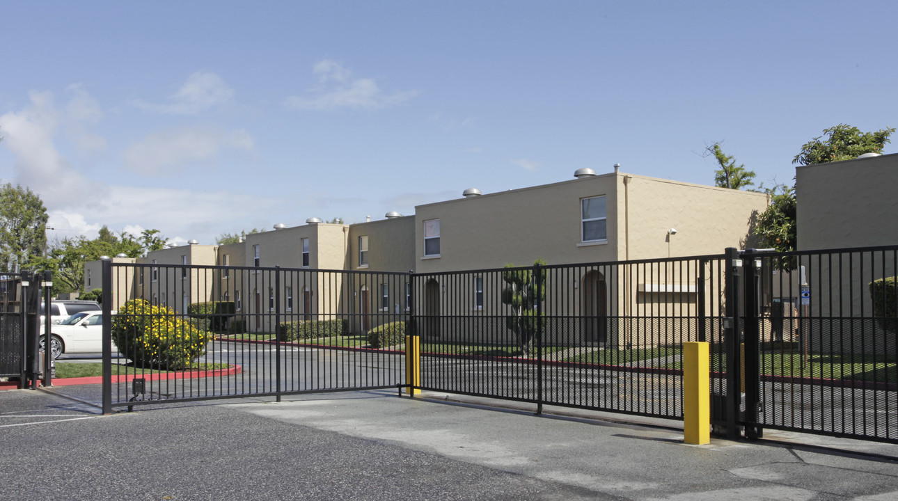 Light Tree in East Palo Alto, CA - Building Photo