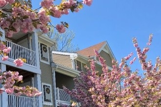 Oaks of Woodlawn in Alexandria, VA - Foto de edificio - Building Photo