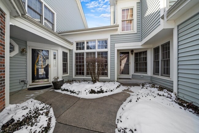 289 Ripplebrook Ct in Schaumburg, IL - Building Photo - Building Photo