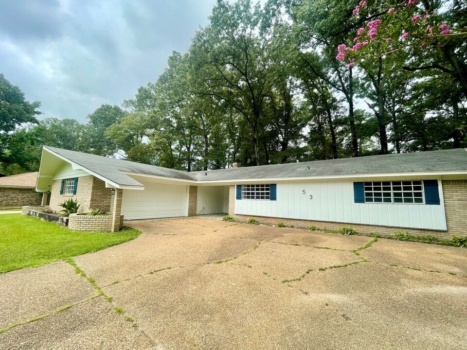 53 Summit Ridge Dr in Brandon, MS - Building Photo