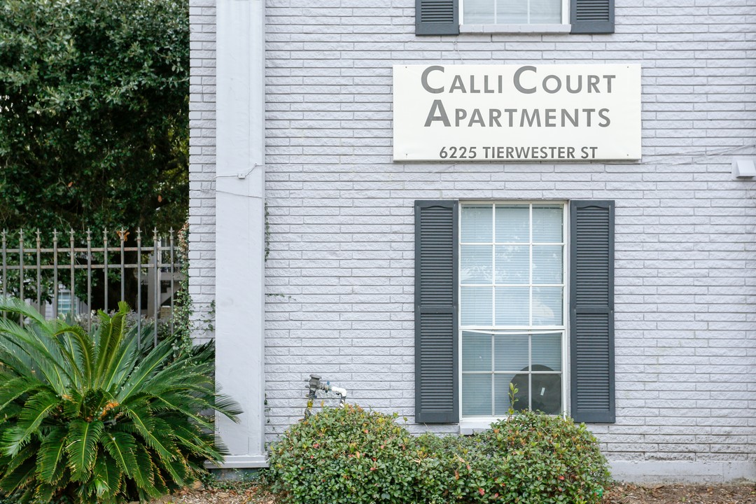 Calli Court Apartments in Houston, TX - Building Photo