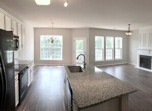 14748 Via Sorrento Dr in Charlotte, NC - Building Photo - Building Photo