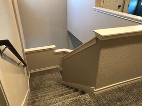 1786 Tristan Trl in New Braunfels, TX - Building Photo - Building Photo