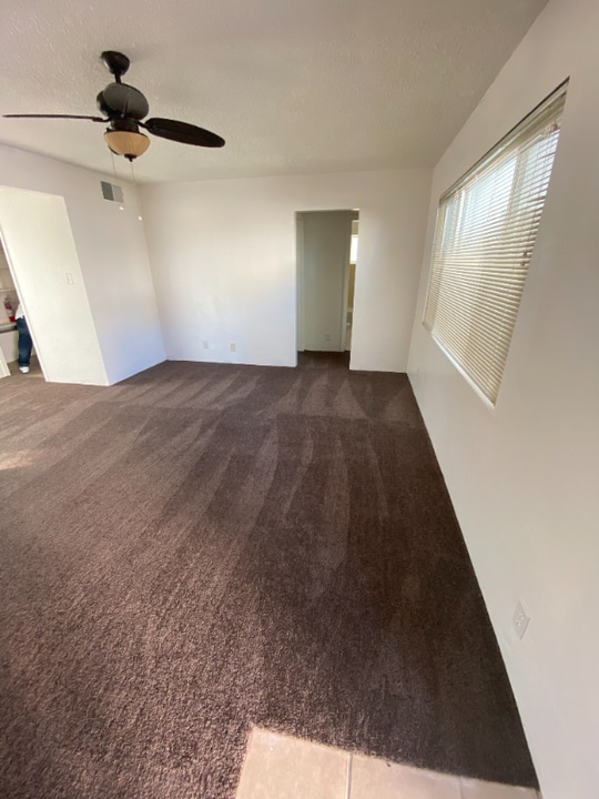 421 S 13th St in Las Vegas, NV - Building Photo
