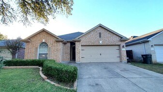 17012 Ocelot Way in Round Rock, TX - Building Photo