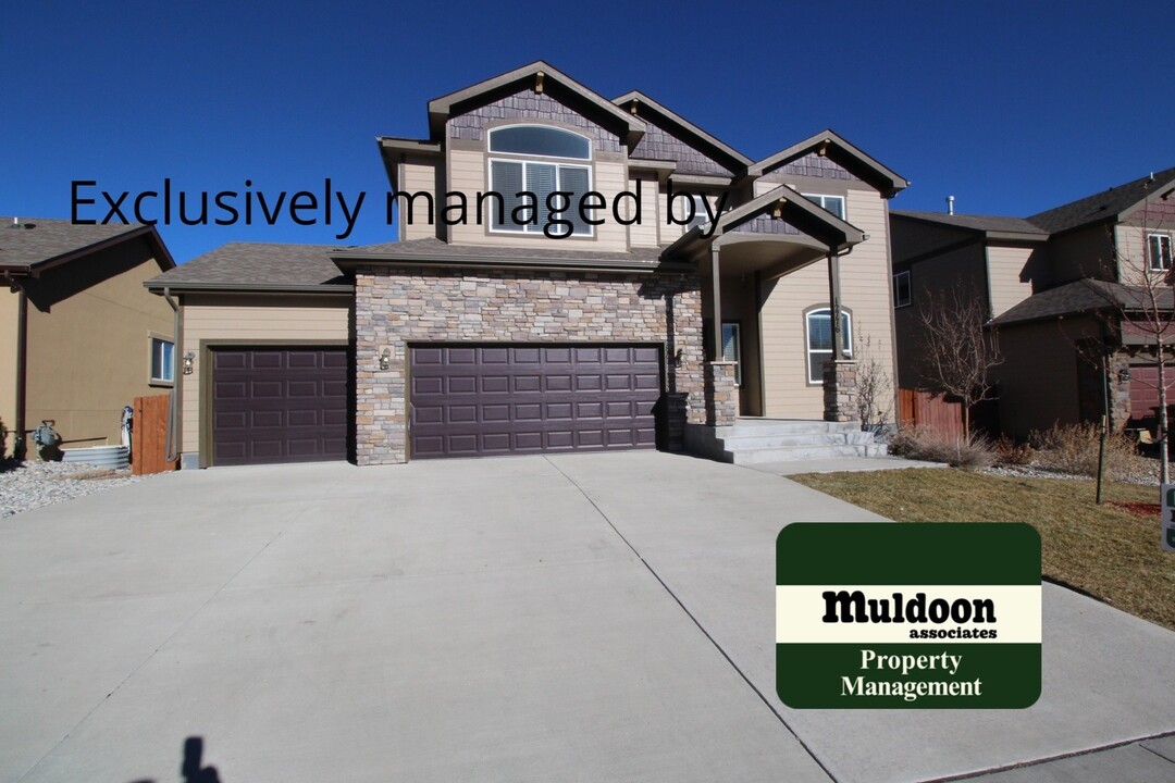 12776 Mount Oxford Pl in Peyton, CO - Building Photo