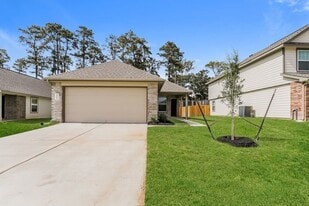 222 Blue Crane St in Huntsville, TX - Building Photo