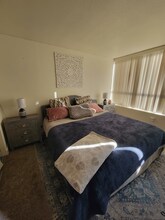 450 N Arlington Ave in Reno, NV - Building Photo - Building Photo
